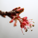 Illustration for article titled Shooting Challenge: Spring